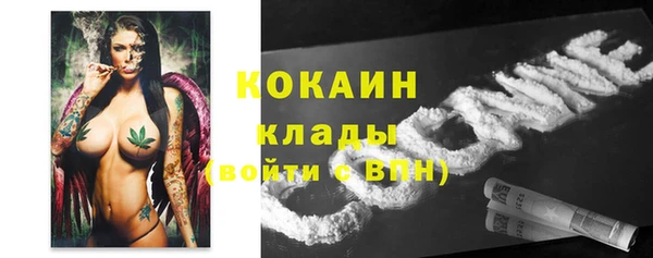 соль ск Алексин