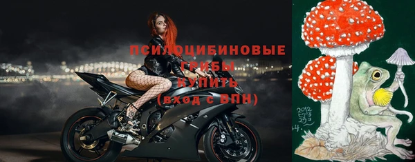 соль ск Алексин